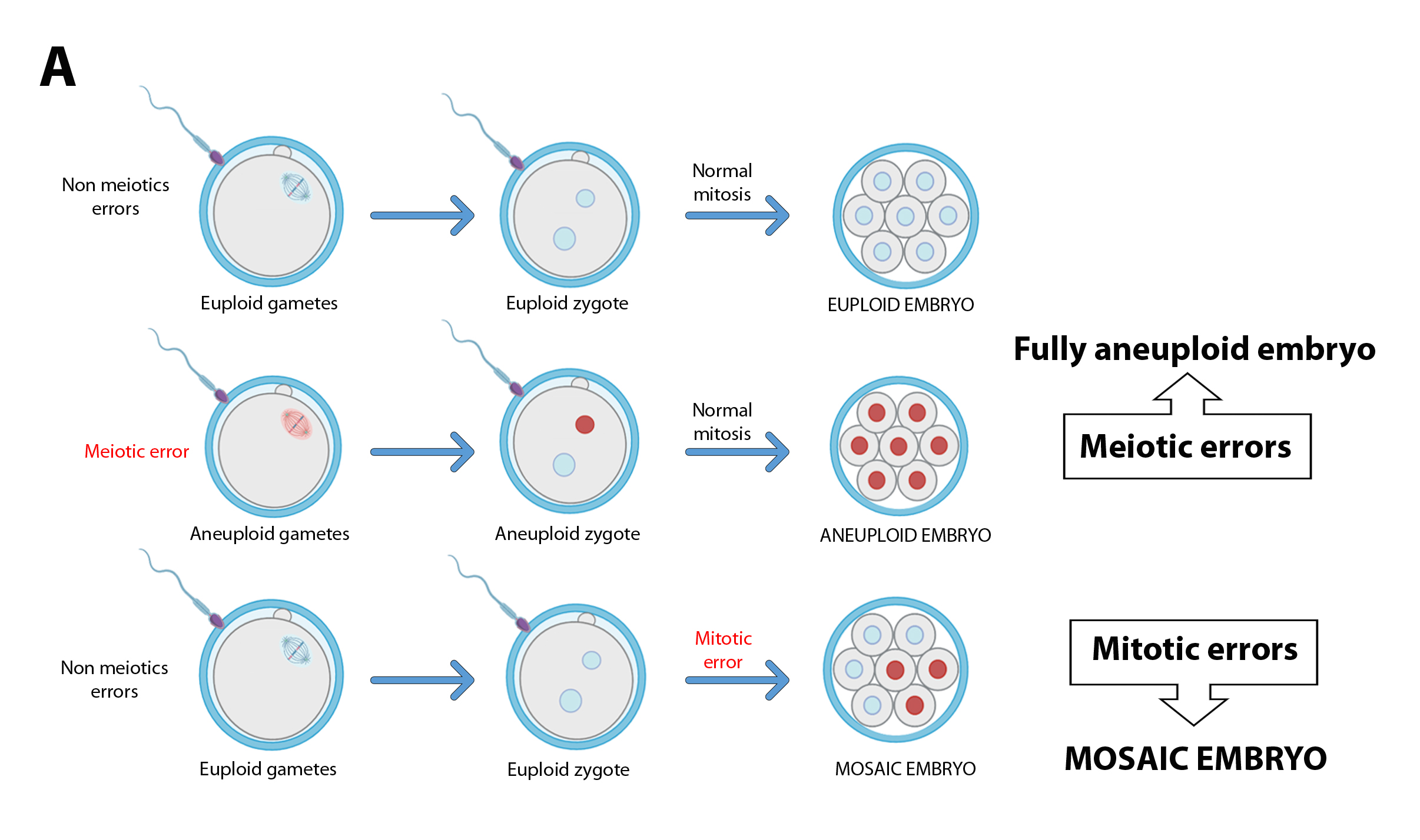 Figure 1a
